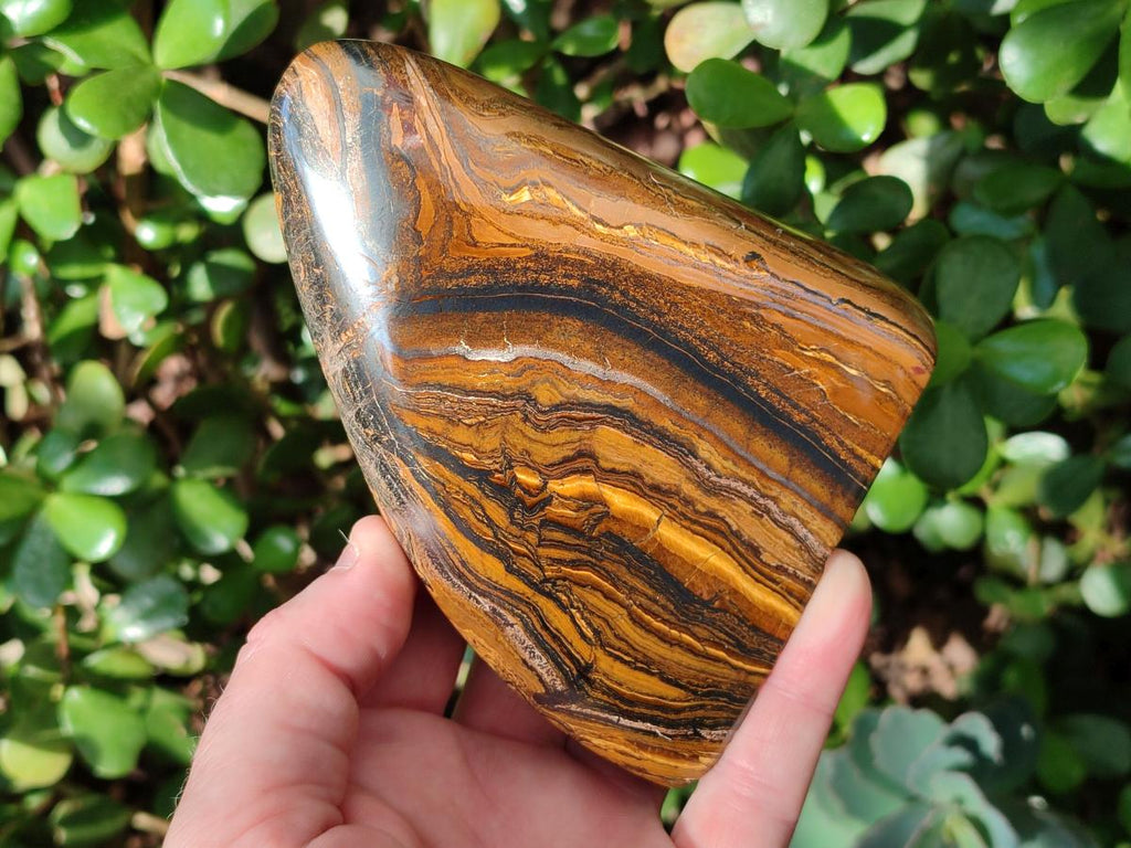 Polished Golden Tigers Eye Standing Display Pieces x 2 From Prieska, South Africa