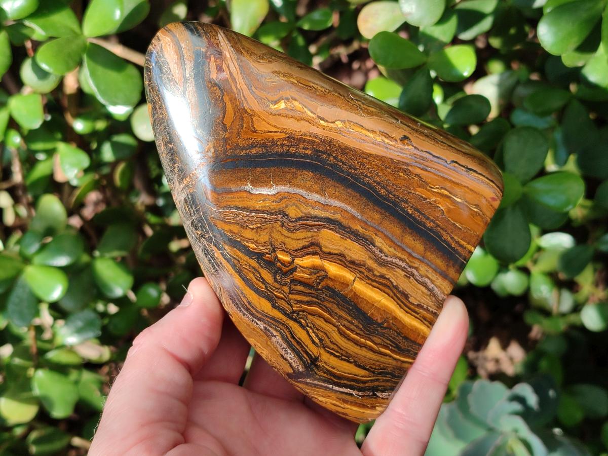 Polished Golden Tigers Eye Standing Display Pieces x 2 From Prieska, South Africa