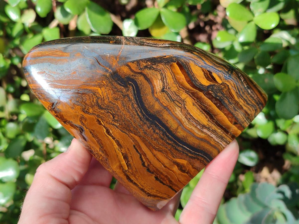 Polished Golden Tigers Eye Standing Display Pieces x 2 From Prieska, South Africa