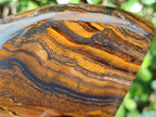 Polished Golden Tigers Eye Standing Display Pieces x 2 From Prieska, South Africa