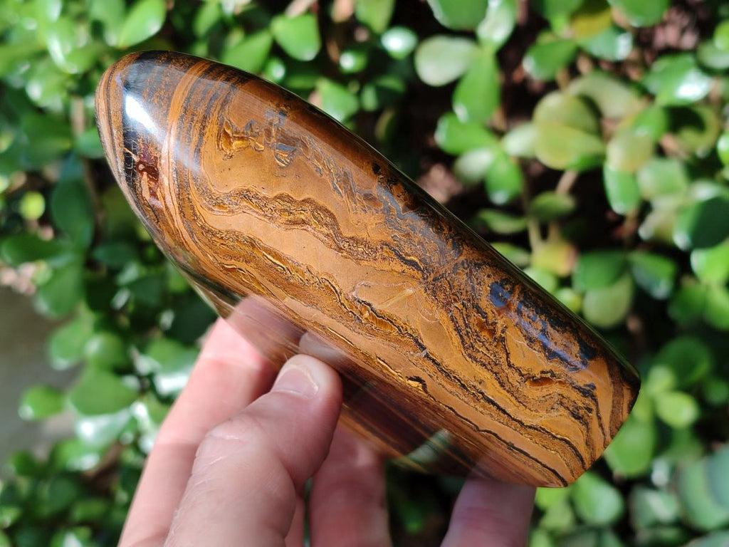 Polished Golden Tigers Eye Standing Display Pieces x 2 From Prieska, South Africa