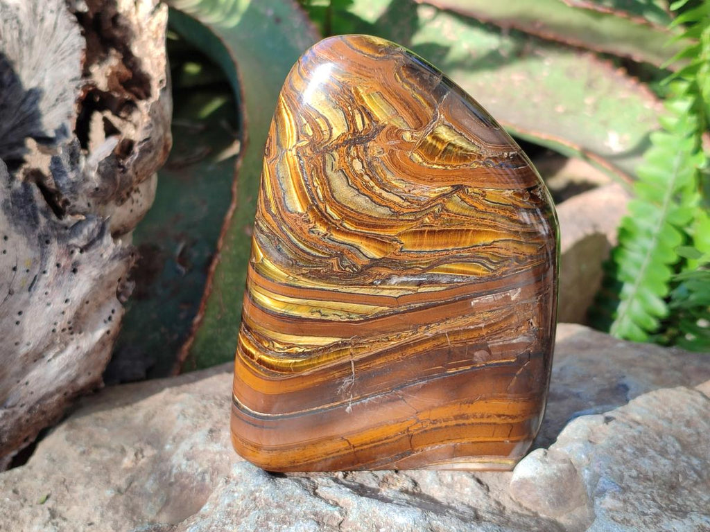 Polished Golden Tigers Eye Standing Display Pieces x 2 From Prieska, South Africa