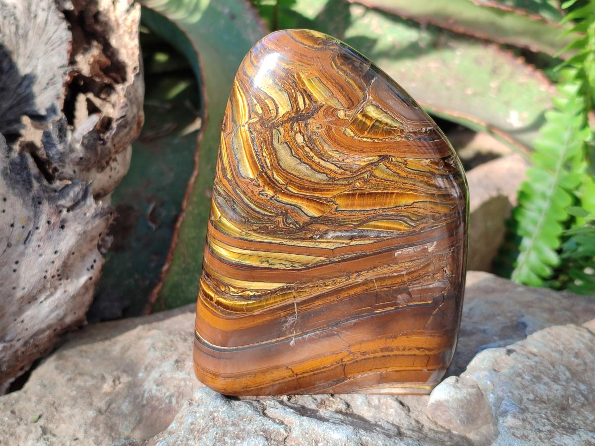 Polished Golden Tigers Eye Standing Display Pieces x 2 From Prieska, South Africa