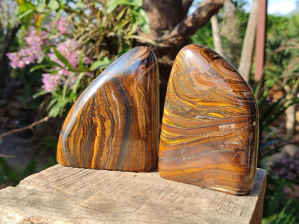 Polished Golden Tigers Eye Standing Display Pieces x 2 From Prieska, South Africa