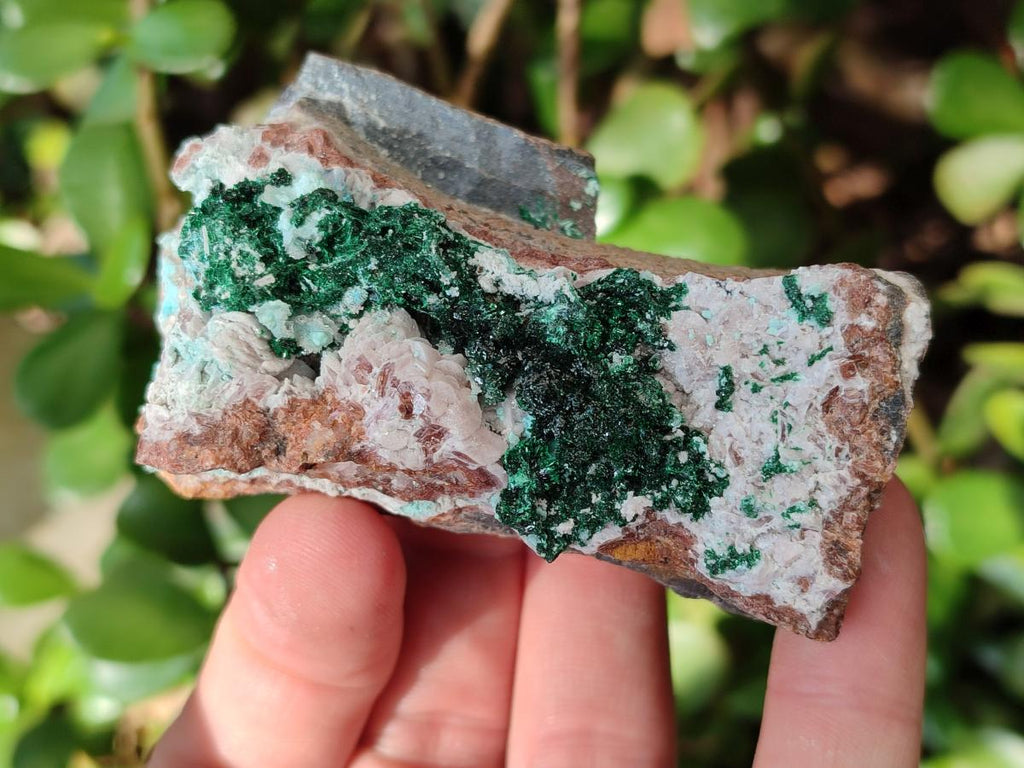 Natural Mix of Multi Mineral Specimens x 6 From Congo