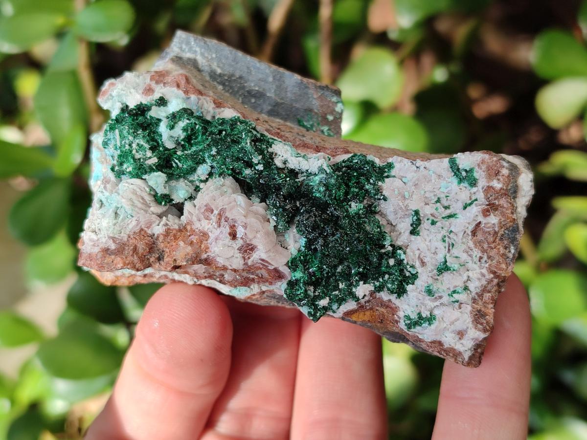 Natural Mix of Multi Mineral Specimens x 6 From Congo
