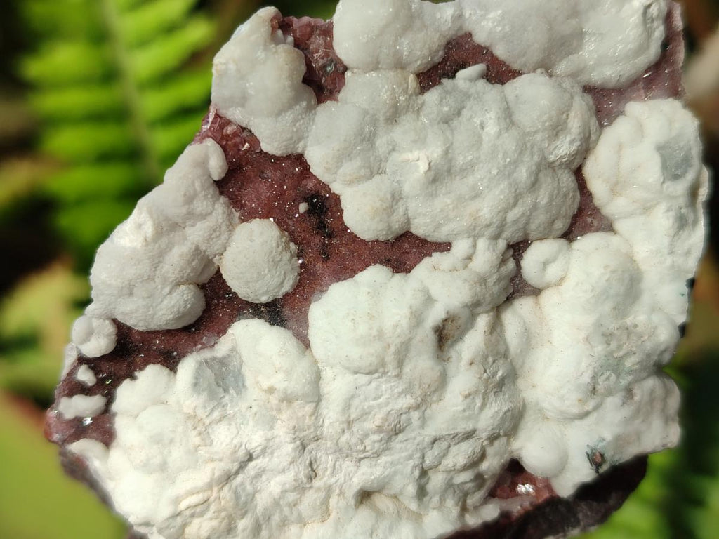 Natural Mix of Multi Mineral Specimens x 6 From Congo