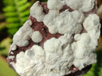 Natural Mix of Multi Mineral Specimens x 6 From Congo