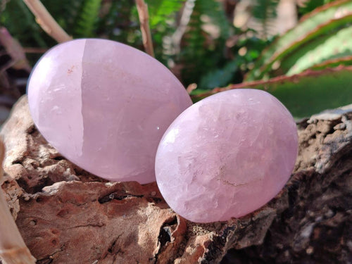 Polished Gemmy Rose Quartz Galets x 12 From Madagascar