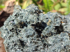 Natural XL Fibrous Foitite Specimen x 1 From Erongo, Namibia