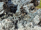 Natural XL Fibrous Foitite Specimen x 1 From Erongo, Namibia