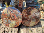 Hand Made Ammonite Conglomerate Table Coasters x 6 From Mahajanga, Madagascar