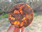 Hand Made Ammonite Conglomerate Table Coasters x 6 From Mahajanga, Madagascar