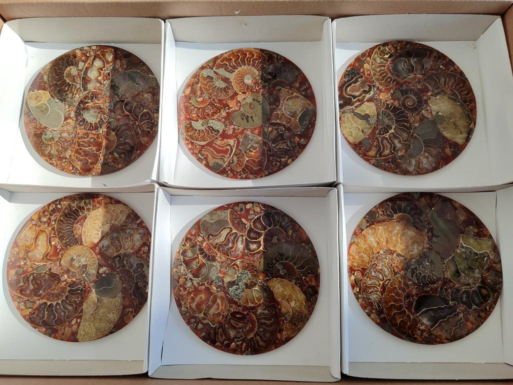 Hand Made Ammonite Conglomerate Table Coasters x 6 From Mahajanga, Madagascar