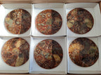 Hand Made Ammonite Conglomerate Table Coasters x 6 From Mahajanga, Madagascar