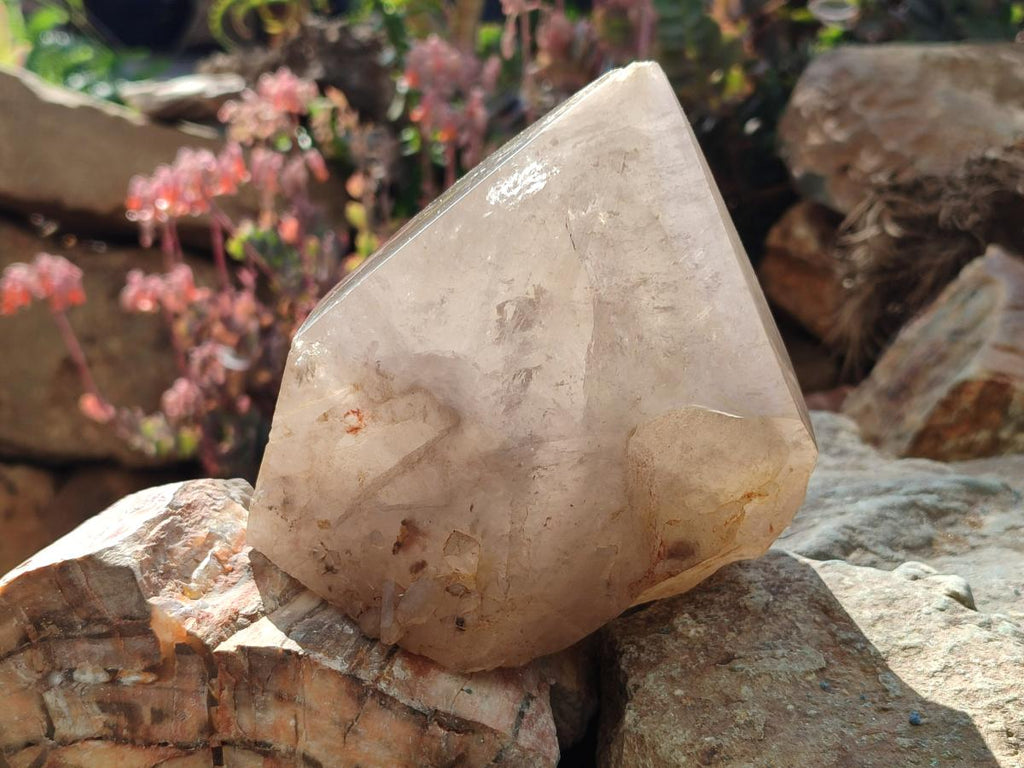 Natural Large Smokey Angolan Quartz Crystal with Polished Terminations x 1 From Angola