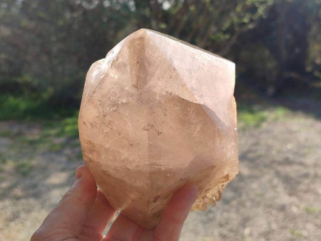 Natural Large Smokey Angolan Quartz Crystal with Polished Terminations x 1 From Angola