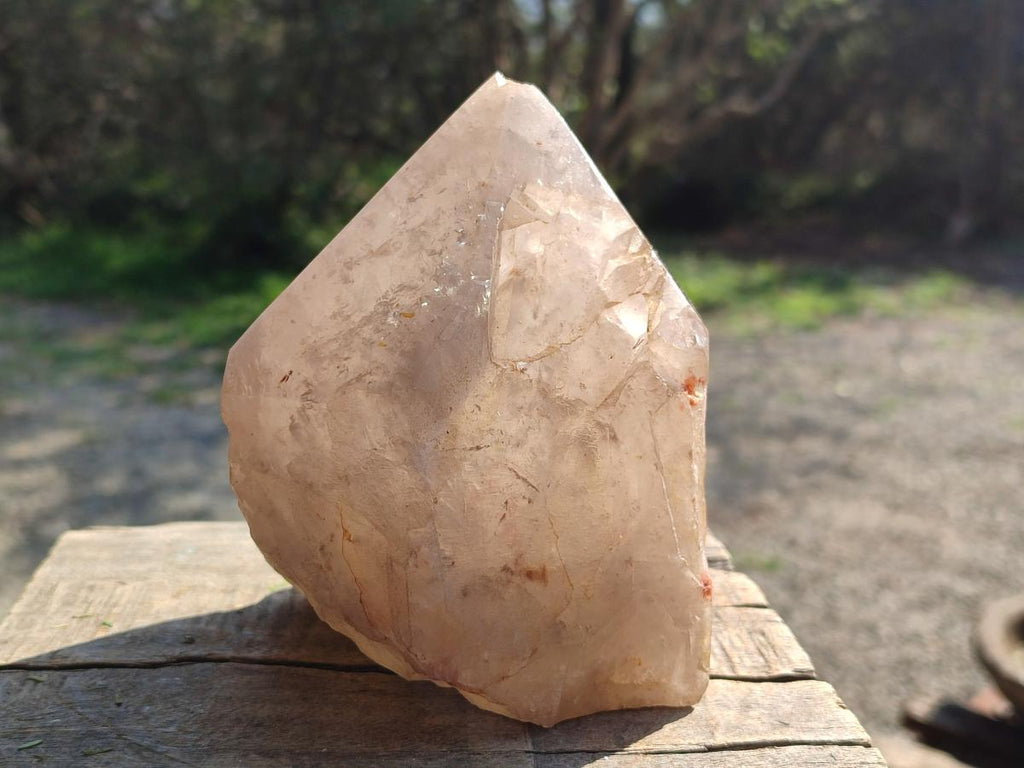 Natural Large Smokey Angolan Quartz Crystal with Polished Terminations x 1 From Angola