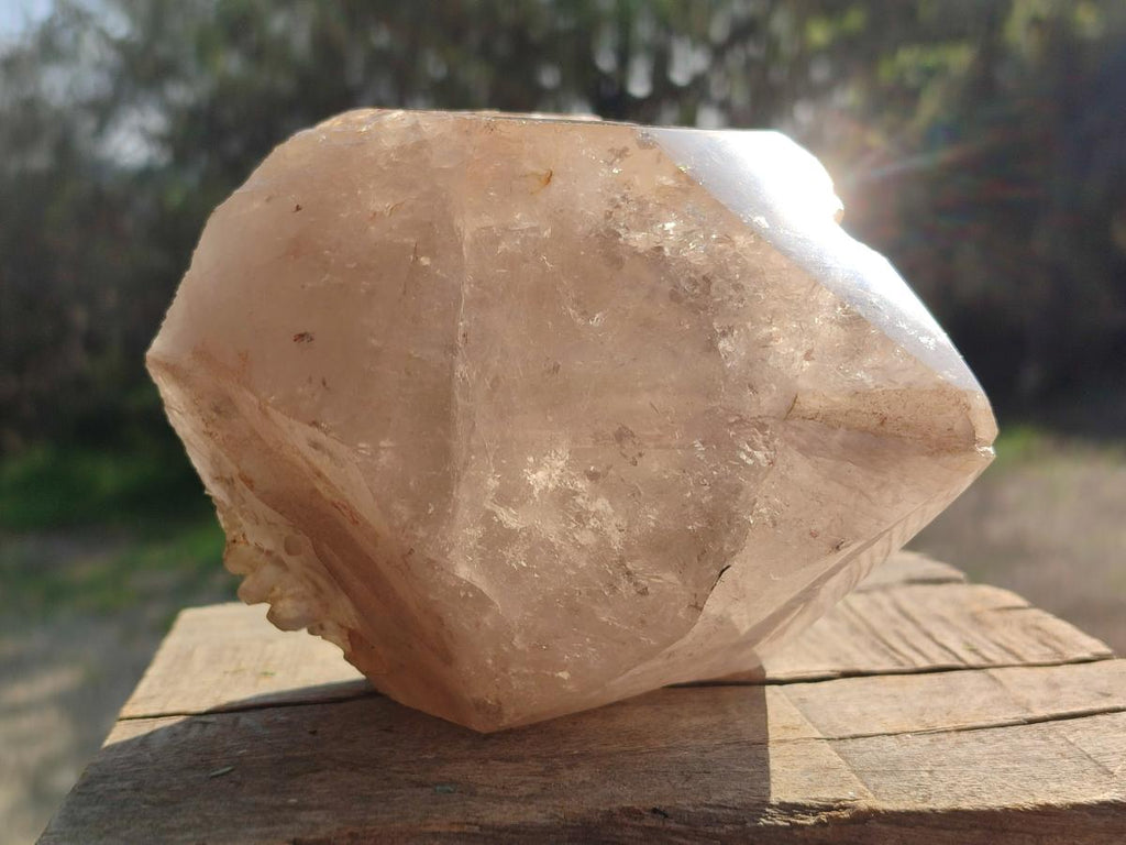 Natural Large Smokey Angolan Quartz Crystal with Polished Terminations x 1 From Angola