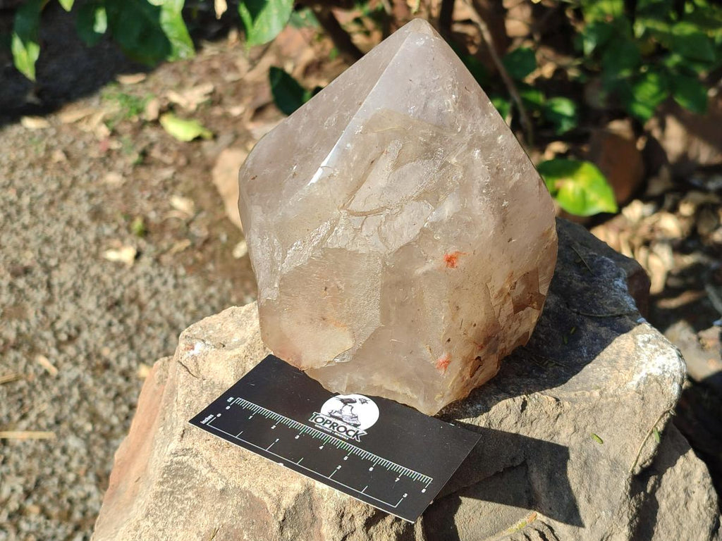 Natural Large Smokey Angolan Quartz Crystal with Polished Terminations x 1 From Angola