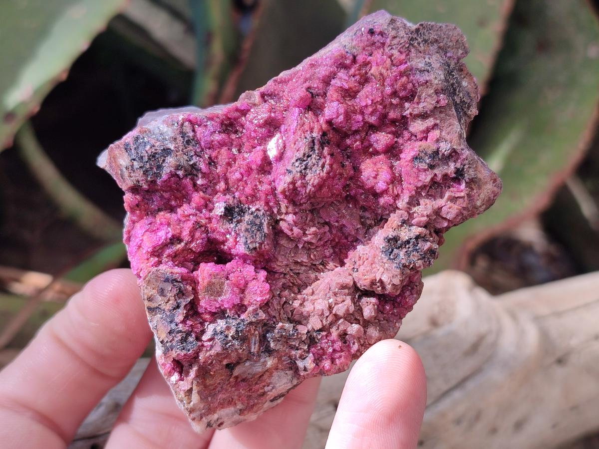 Natural Salrose Cobaltoan Dolomite Specimens with Malachite and Kaolinite x 6 From Kakanda, Congo