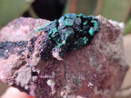 Natural Salrose Cobaltoan Dolomite Specimens with Malachite and Kaolinite x 6 From Kakanda, Congo