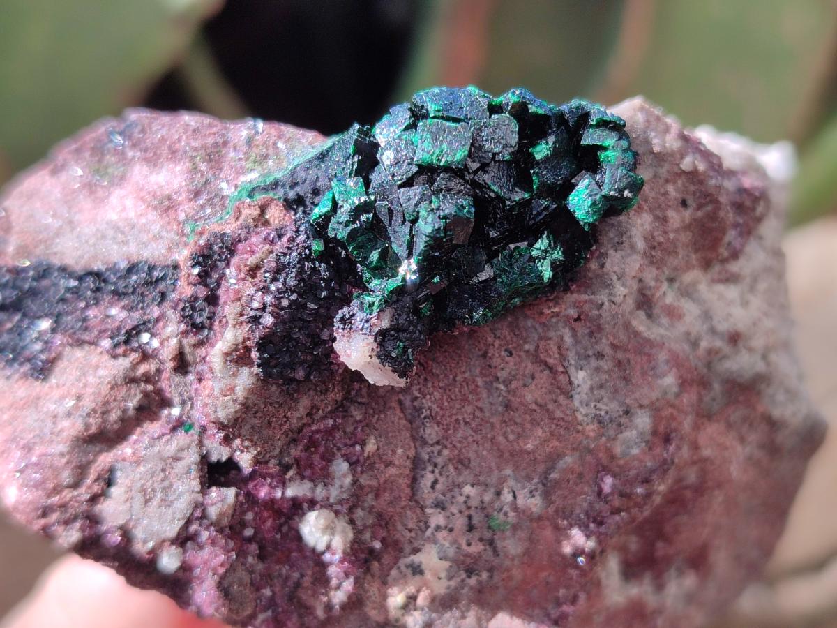 Natural Salrose Cobaltoan Dolomite Specimens with Malachite and Kaolinite x 6 From Kakanda, Congo