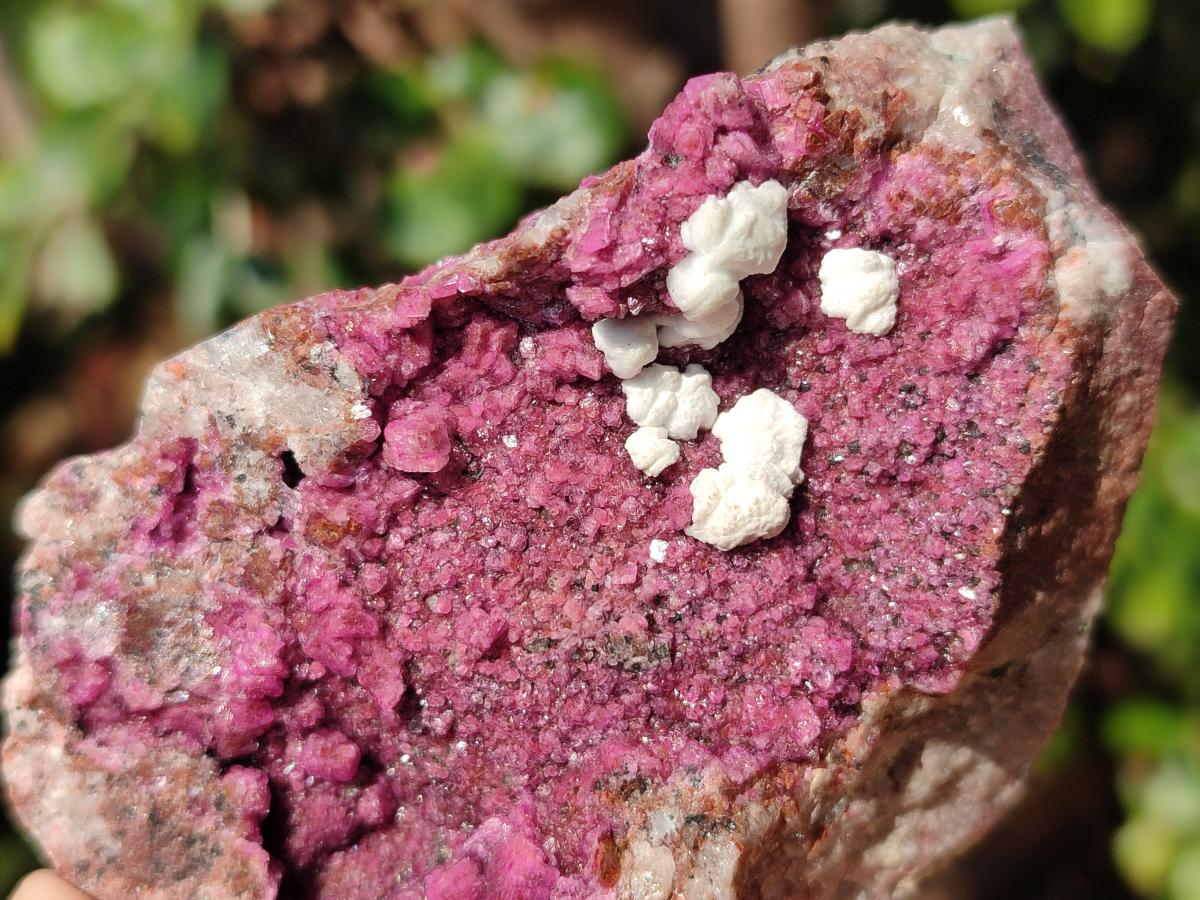 Natural Salrose Cobaltoan Dolomite Specimens with Malachite and Kaolinite x 6 From Kakanda, Congo