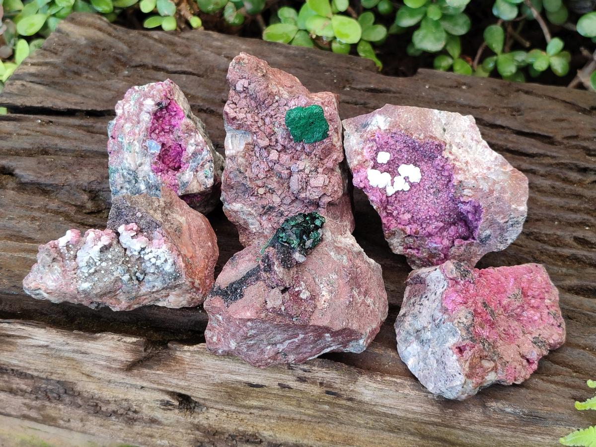 Natural Salrose Cobaltoan Dolomite Specimens with Malachite and Kaolinite x 6 From Kakanda, Congo