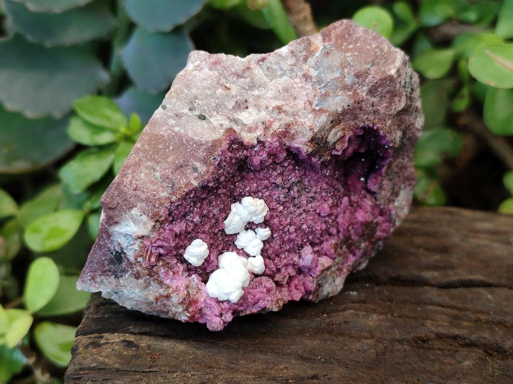 Natural Salrose Cobaltoan Dolomite Specimens with Malachite and Kaolinite x 6 From Kakanda, Congo
