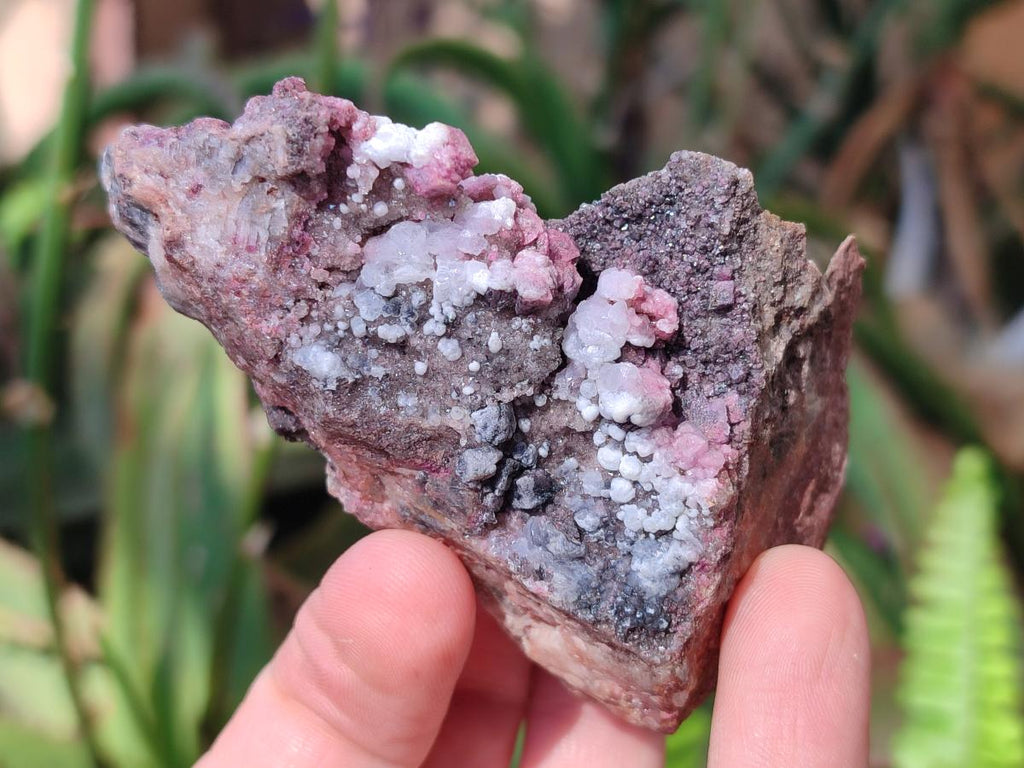 Natural Salrose Cobaltoan Dolomite Specimens with Malachite and Kaolinite x 6 From Kakanda, Congo