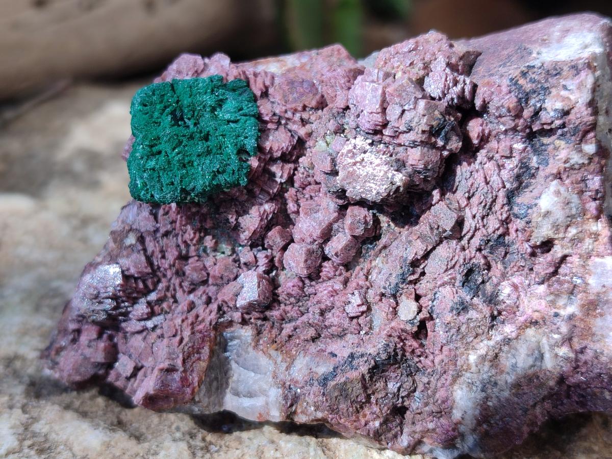 Natural Salrose Cobaltoan Dolomite Specimens with Malachite and Kaolinite x 6 From Kakanda, Congo