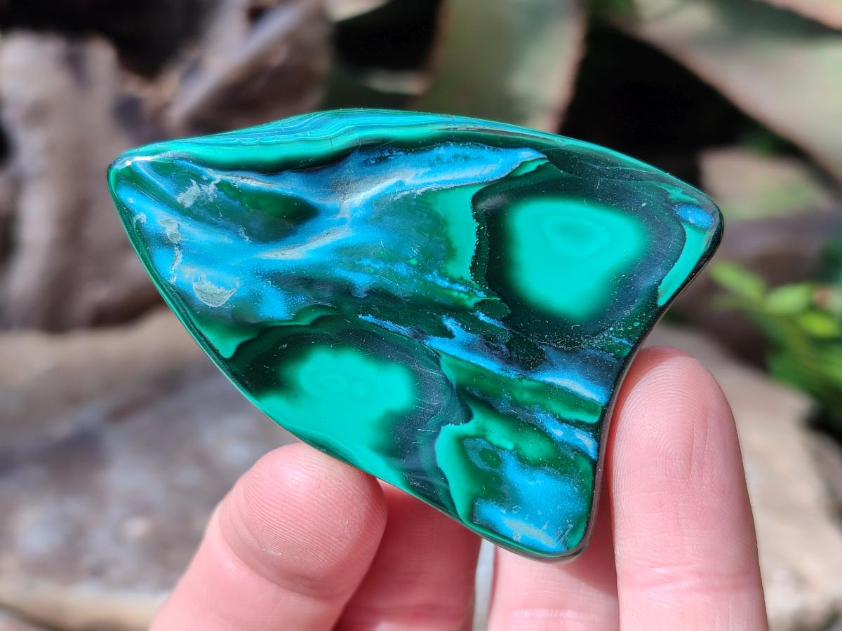 Polished Malacolla Free Forms x 12 From Kulukuluku, Congo