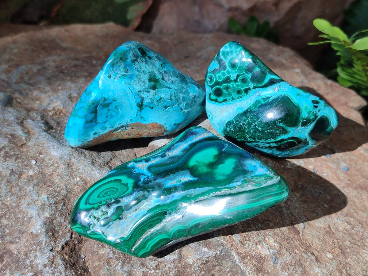Polished Malacolla Free Forms x 12 From Kulukuluku, Congo