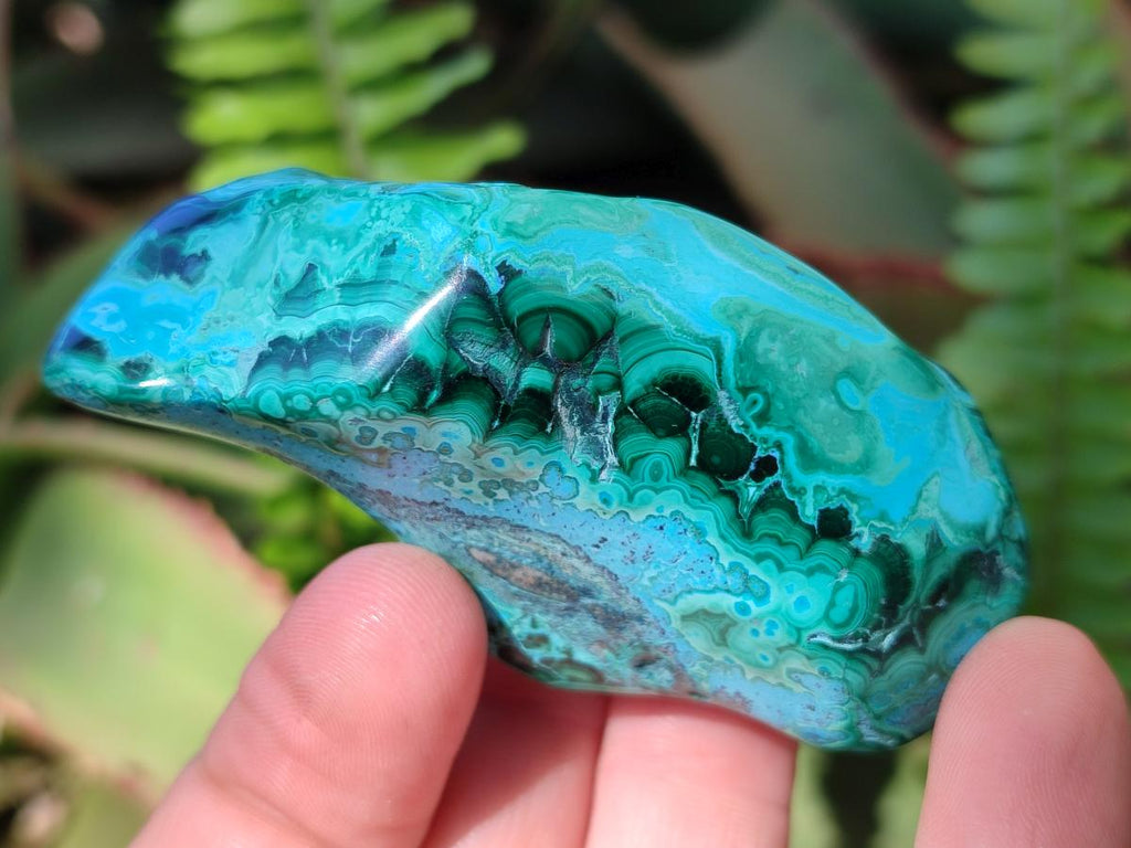 Polished Malacolla Free Forms x 12 From Kulukuluku, Congo