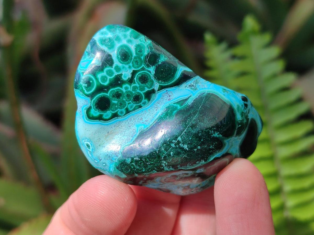 Polished Malacolla Free Forms x 12 From Kulukuluku, Congo