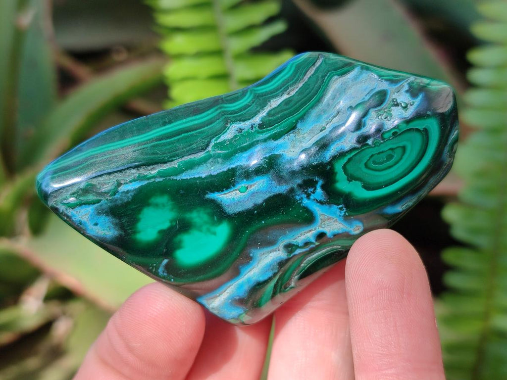 Polished Malacolla Free Forms x 12 From Kulukuluku, Congo