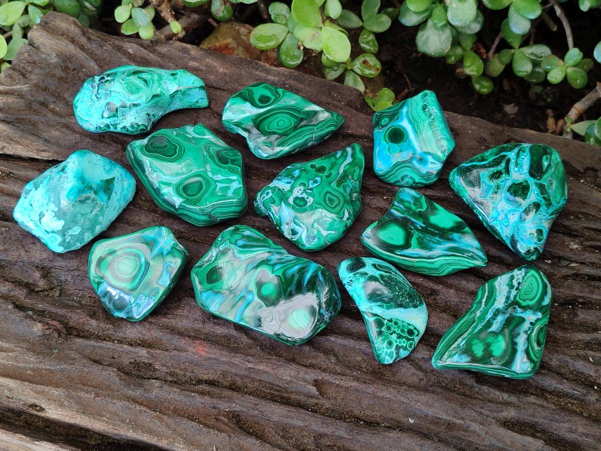 Polished Malacolla Free Forms x 12 From Kulukuluku, Congo