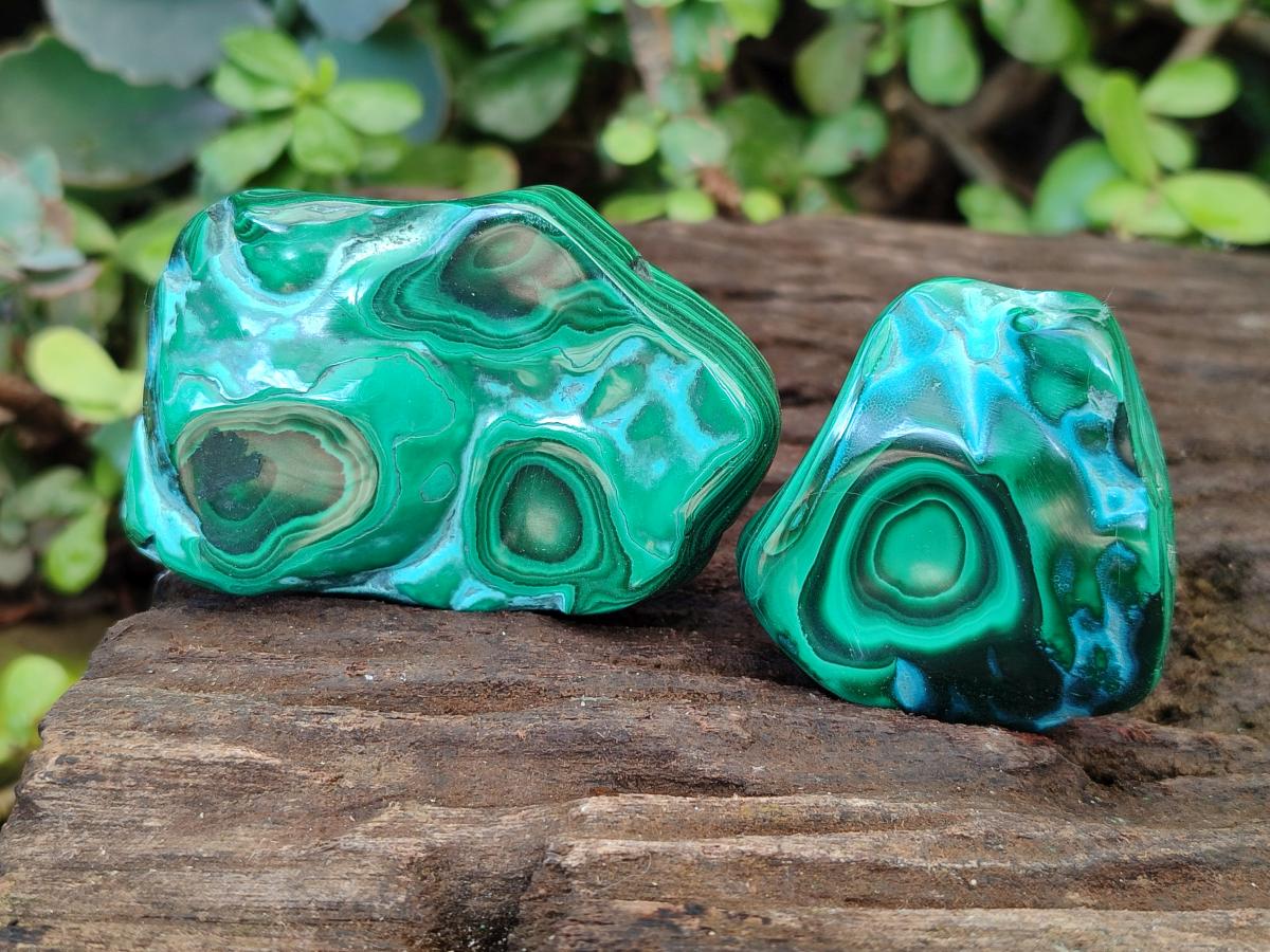 Polished Malacolla Free Forms x 12 From Kulukuluku, Congo