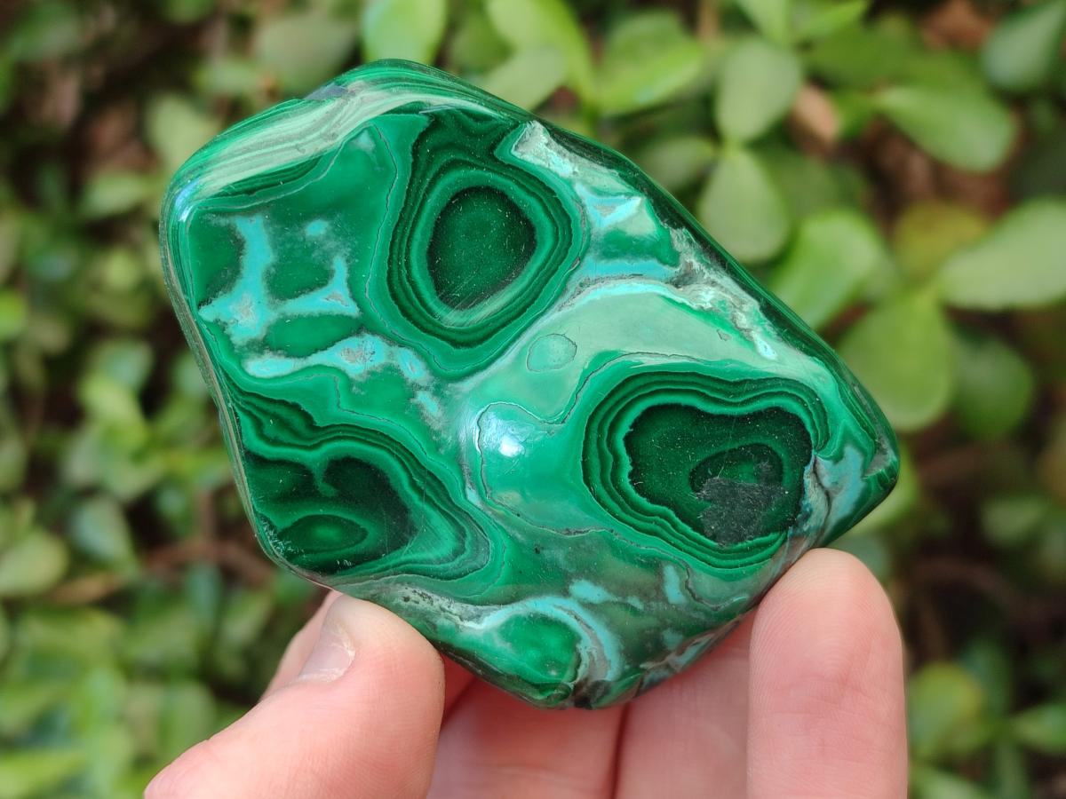 Polished Malacolla Free Forms x 12 From Kulukuluku, Congo