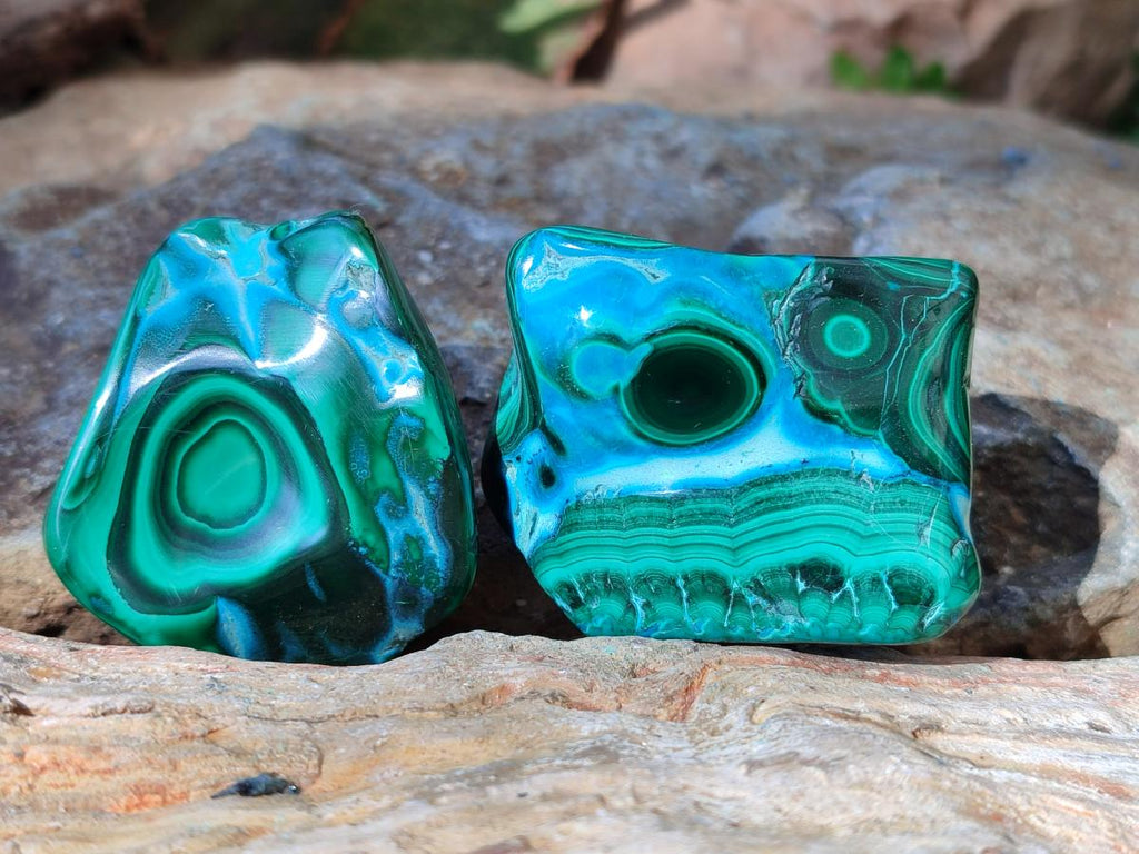 Polished Malacolla Free Forms x 12 From Kulukuluku, Congo