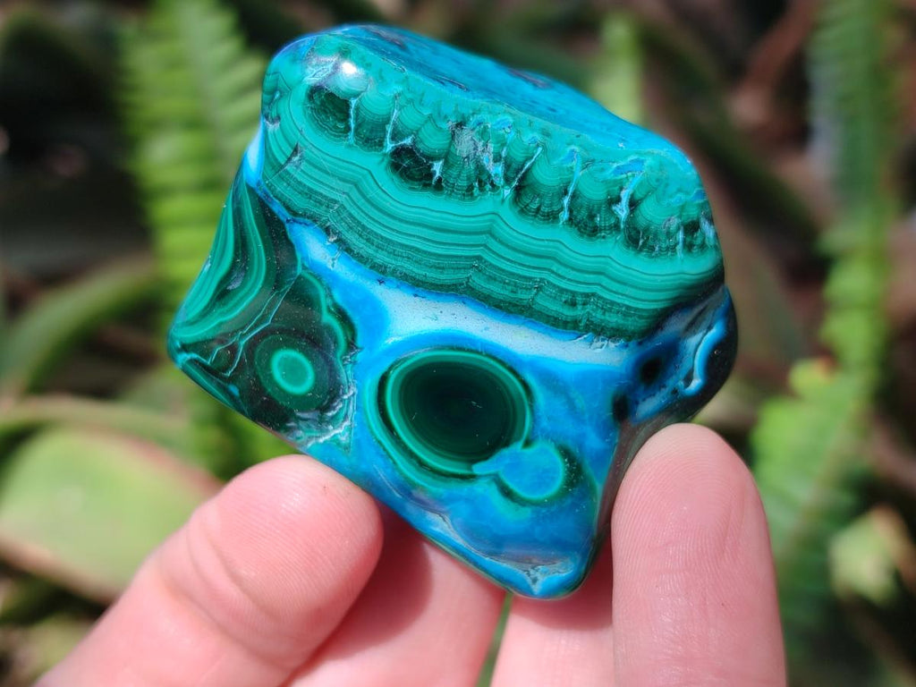 Polished Malacolla Free Forms x 12 From Kulukuluku, Congo