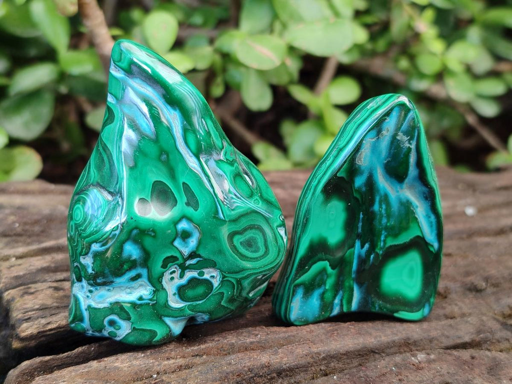 Polished Malacolla Free Forms x 12 From Kulukuluku, Congo
