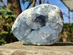 Natural Blue Celestite Specimens x 2 From Sakoany, Madagascar