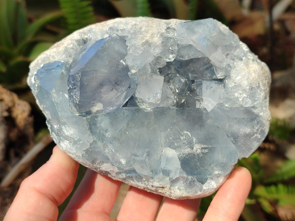 Natural Blue Celestite Specimens x 2 From Sakoany, Madagascar