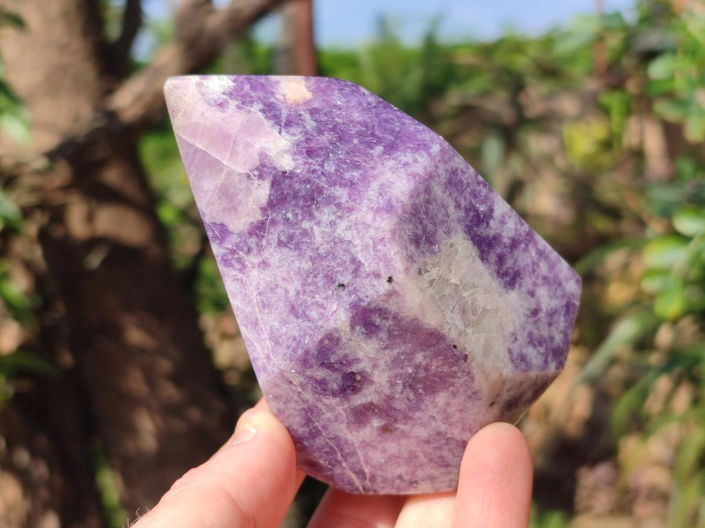 Polished Lepidolite Display Crystals x 2 From Zimbabwe