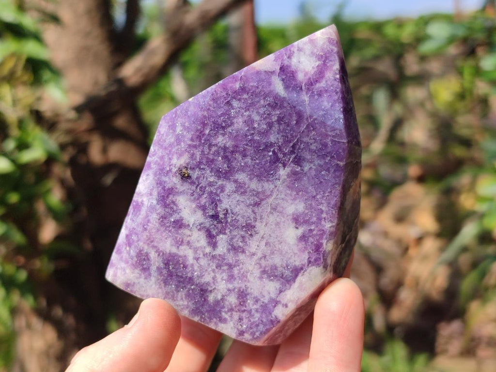 Polished Lepidolite Display Crystals x 2 From Zimbabwe
