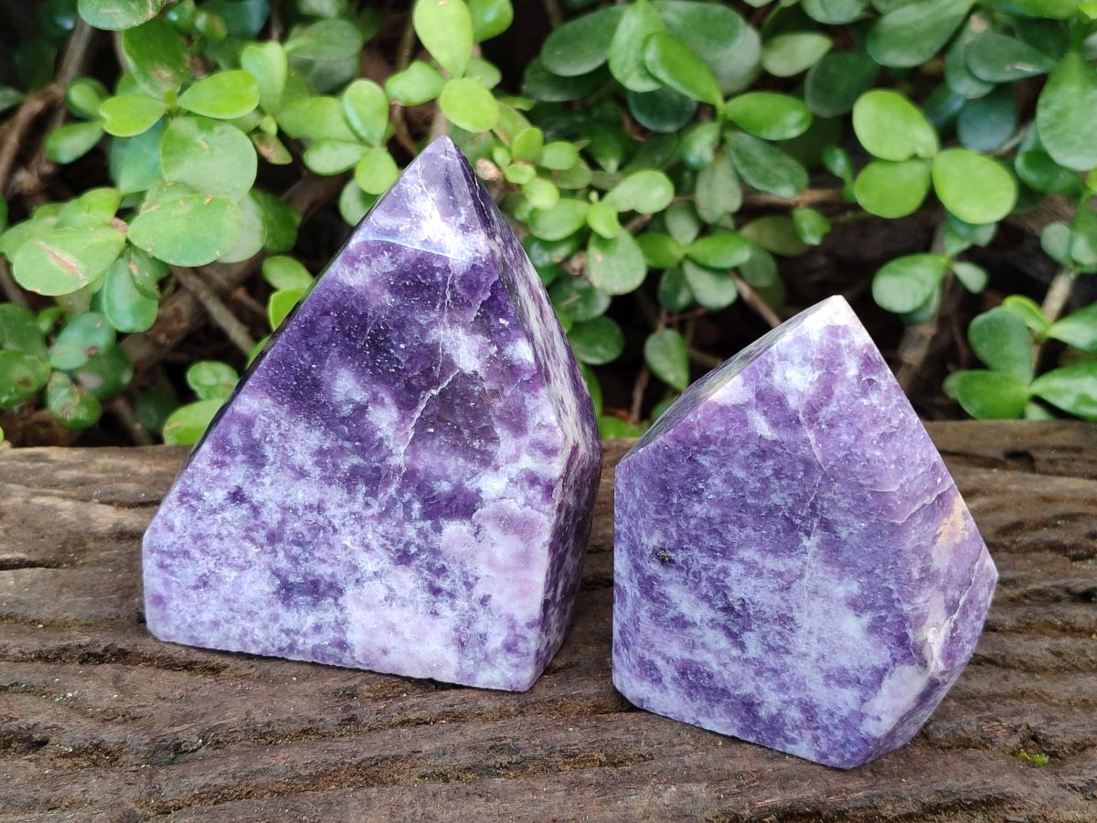 Polished Lepidolite Display Crystals x 2 From Zimbabwe
