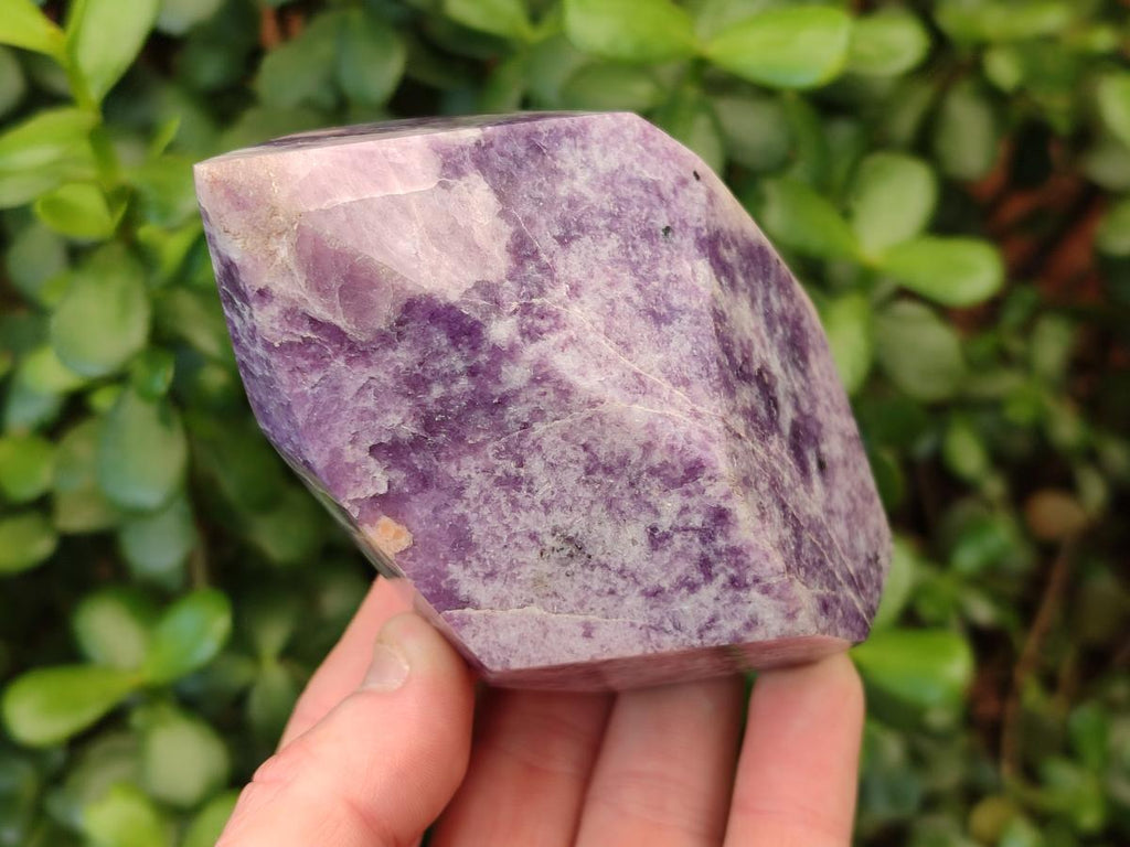 Polished Lepidolite Display Crystals x 2 From Zimbabwe