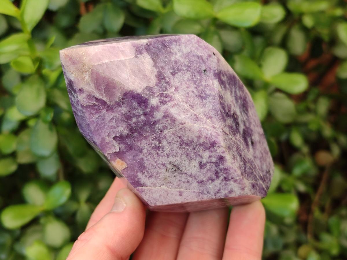 Polished Lepidolite Display Crystals x 2 From Zimbabwe